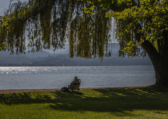 A scenic image of a lady sitting by herself under a shade tree next to a sparkling lake with mountains in the distance. The image conveys emotions of peacefulness, loneliness and inner reflection.