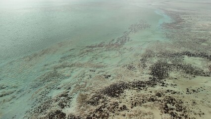 Drone view of Hamelin Pool in Shark Bay with crystal clear water and natural patterns