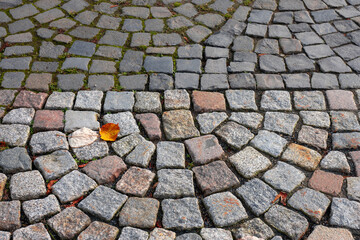 Cobblestone Pavement with Autumn Leaves