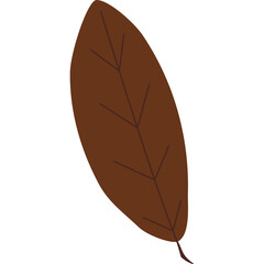Simple Brown Leaf Detailed Veins Transparent Background Isolated Autumn Object