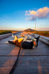 Z psem rasy Border Collie na jesiennym spacerze w polskich górach - Karkonosze - Karkonoski Park Narodowy - Równia Pod Śnieżką, na pograniczu Polski i Czech. © krzys ser