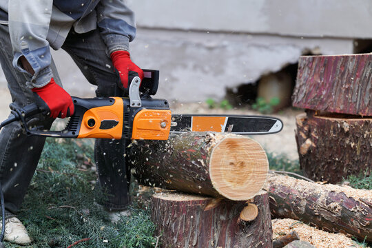 A man cutting fallen tree with an electric chainsaw