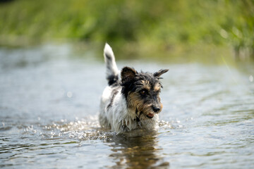 Fototapete bei efototapeten.de bestellen   