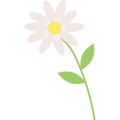 Simple Illustration Of A White Daisy Flower With A Yellow Center And Green Stem And Leaves On A Transparent Background Ideal For Spring And Nature Themes