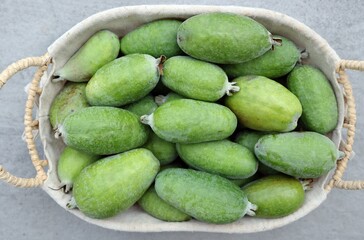 Un panier de feijoa ou goyave du Brésil