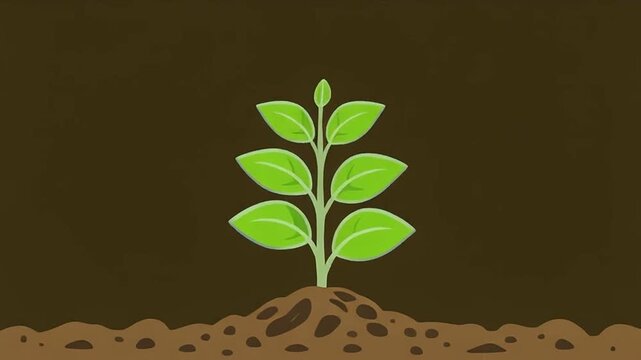A 2D cartoon animation of a green plant growing from the soil. This simple, flat-style loop symbolizes growth, nature, life, and eco-friendly concepts.