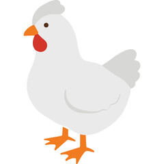 Simple White Chicken With Orange Beak And Feet Isolated On Transparent Background Studio Shot Domestic Fowl