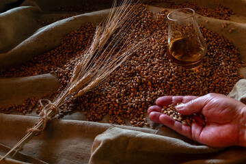 A hand rests on raw barley grain and wheat ears next to a glass of whiskey on burlap. Rustic still life emphasizing ingredients, harvest, and the natural heritage of distilled spirits