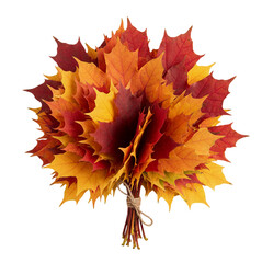 A bright bouquet of maple leaves in red yellow shades, tied with twine and decorated with seeds, is presented as a studio isolate. The perfect autumn arrangement for festive decor, design and symboliz