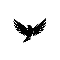 Fototapeta premium Majestic black bird with wings spread in flight.