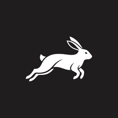 White Rabbit Leaping on a Black Background.
