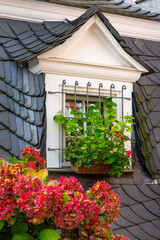 Dormer Window with Flower Box and Hydrangeas