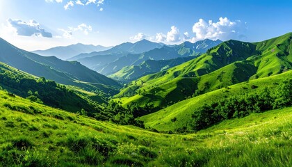 Lush Green Rolling Hills Bathed in Golden Sunlight Under a Blue Sky with Fluffy White Clouds
