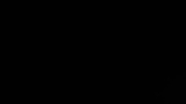 fireworks exploded effect transition collection with alpha channel