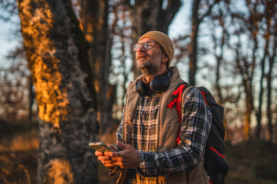Man hiking in forest using smart phone for navigation
