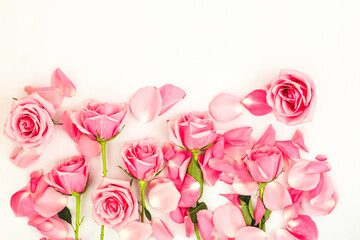 Fototapeta premium Beautiful pink roses with petals arranged on a soft background for decoration or gifts
