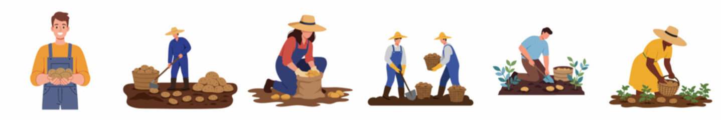 Flat Illustration of Diverse Farmers Harvesting Potato Crop in Agriculture Field