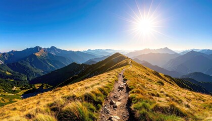 Sunlight illuminates a narrow mountain trail winding through golden dry grass and green trees under a clear blue sky with hazy mountains in the distance creating a sense of adventure and serenity