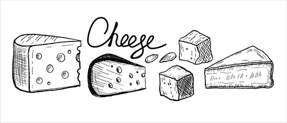 Cheese sketch, Party set of porous pieces of Gouda, Camembert, and Brie, vintage engraving monochrome line drawing in black ink. Doodle illustration of ingredients for product branding, culinary blogs