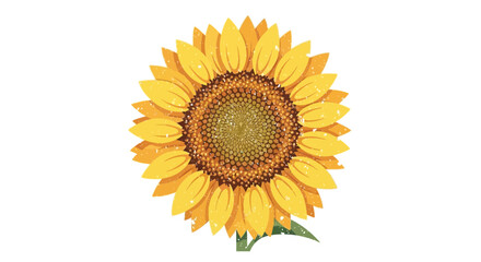 Fototapeta premium Vibrant Sunflower Illustration with Textural Details on White Backdrop