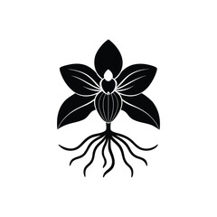 A striking black and white illustration of a blooming orchid with visible roots, symbolizing natural beauty and growth