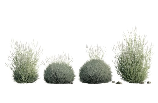 A group of small green bushes and rocks isolated on transparent background