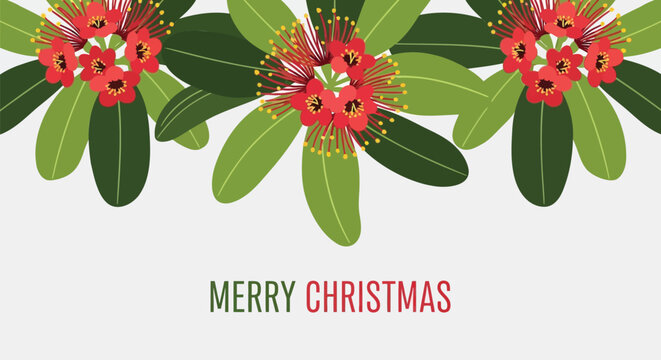 Festive merry christmas greeting card with vibrant red pohutukawa flowers and green leaves on a light background