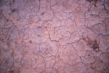 Desert texture 
