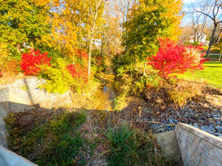 A small dried up creek and bridge during fall. 