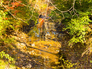 A small dried up creek and bridge during fall. 