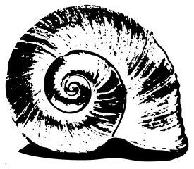 illustrates spiral form in detail