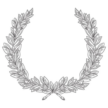 Hand drawn wreath of laurel leaves vector isolated illustration