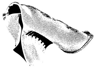 Face emerges from halftone, abstract portrait in digital art