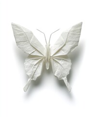 Origami Butterfly In White Paper