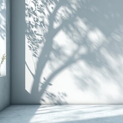 Empty Modern Room With Tree Shadow