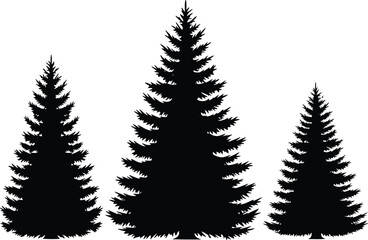 Conifer tree silhouette vector illustration, pine forest graphic, evergreen nature clipart, fir tree design for print, web, and decoration