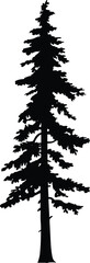 Coniferous tree silhouette vector illustration, pine fir forest graphic, botanical nature element, outdoor landscape concept, cad drawing flat vector illustration