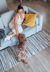 Middle aged female petting her  Maltipoo dog sitting on comfortable living room, showing joy of bonding with beloved pet. Funny pets and heppiness concept.
