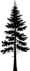 Conifer tree silhouette vector illustration with straight trunk and pointed branches, perfect for forest design, nature concept, and botanical themes
