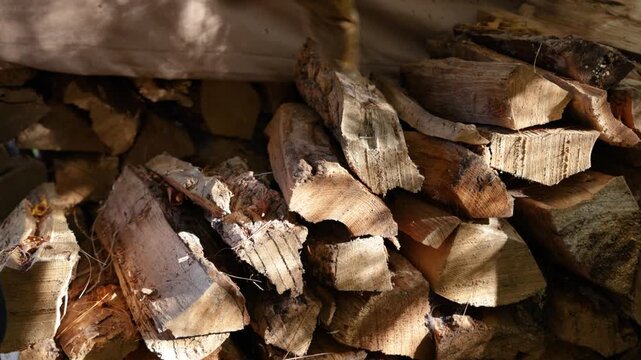 Stacked Firewood In Warm Light