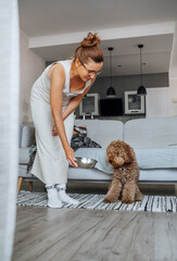 Middle aged female giving her Maltipoo dog bowl with food. Friendlt pet sitting on living room laminate floor. Funny pets feeding, home comfort and heppiness concept.