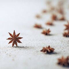 Star Anise Spices On Light Background