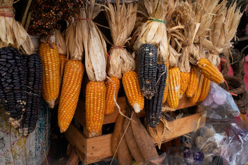 corn cubs on the market	