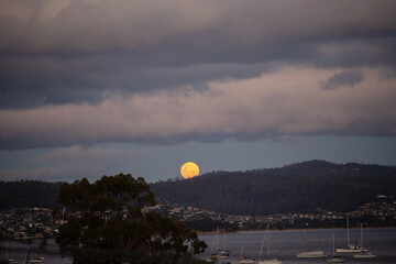 View of a supermoon rising above the horizon on November 5th 2025, Hobart, Tasmania.