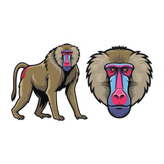Baboon Fullbody and Close-Up Illustration for Safari Wildlife Design © Aryasakti