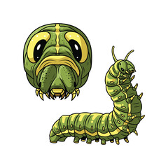 Caterpillar Fullbody and Close-Up Illustration for Insect Design
