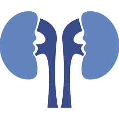 Two Blue Kidney Anatomy Icon Graphic With A Transparent Background Representing Medical Health And Wellness