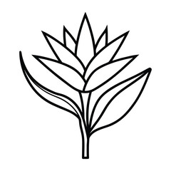 Beautiful bird of paradise flower Strelitzia reginae vector image with colorful petals and tropical leaves