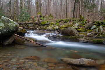 surrounded by moss covered rocks and flowing over stones, a fast running mountain stream runs quickly in the spring months