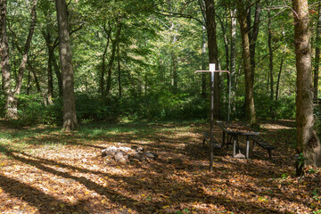 a camp site with picnic table and bench, post and fire ring in the woods during the autumn season with dried foliage on the ground for fall camping